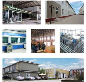 瀝青路面網(wǎng)狀裂縫